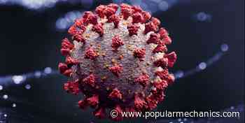 What If Your Face Mask Could Kill Coronavirus With Electricity?