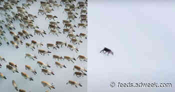 Bill Nye, Billie Eilish and More Rally Support for the Planet in World Environment Day PSA