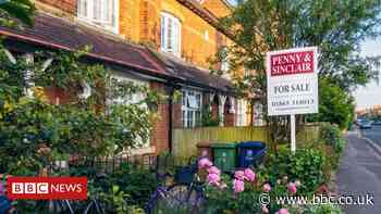 Coronavirus: Want to sell a home? Make the garden look nice