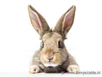 Proefkonijnen voor certificatieschema gezocht
