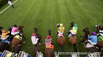 Thoroughbreds are finally off and running at Woodbine Racetrack in Toronto - Lethbridge News Now