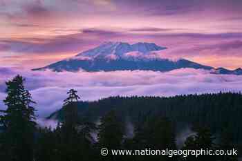 Mount St. Helens isn't where it should be. Scientists may finally know why. - National Geographic UK