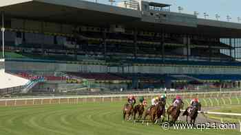 Thoroughbreds are finally off and running at Woodbine Racetrack in Toronto - CP24 Toronto's Breaking News
