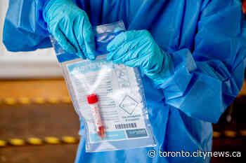 Ontario confirms 356 new COVID-19 cases, 45 more deaths - CityNews Toronto