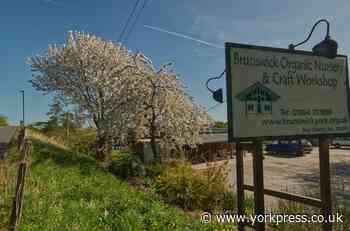 Brunswick nursery campaign for support after 'devastating' closure