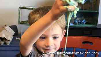 Extended Learning class at Carlos Gilbert Elementary School centers on architecture - Santa Fe New Mexican