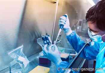 A third COVID-19 vaccine effort is quietly underway at Pitt