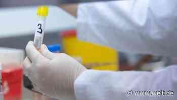 Europa bildet Allianz gegen die USA