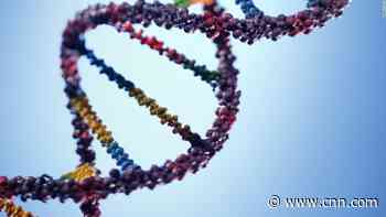 The danger of blaming Covid-19 deaths on our genes