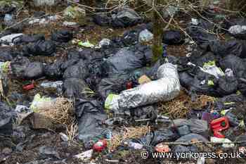 Illegal rave at wildlife reserve