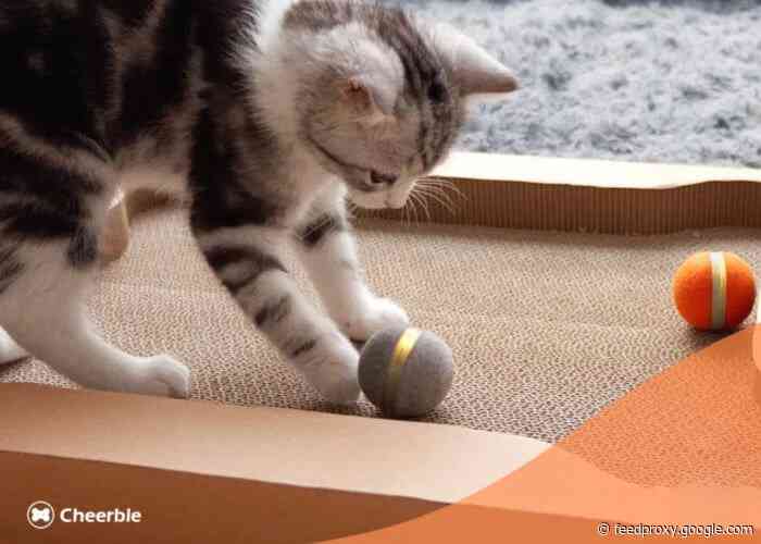 Cheerable smart interactive cat toy keeps your cat entertained
