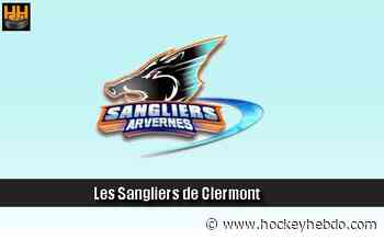 Hockey sur glace : D1: Un jeune attaquant confirmé à Clermont - Transferts 2020/2021 : Clermont-Ferrand (Les Sangliers Arvernes) - hockeyhebdo Toute l'actualité du hockey sur glace