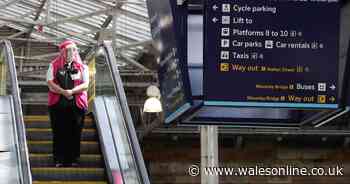 No new virus deaths in Scotland for first day since lockdown