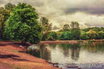 Camera club members capture stunning images around Bolton - This Is Lancashire
