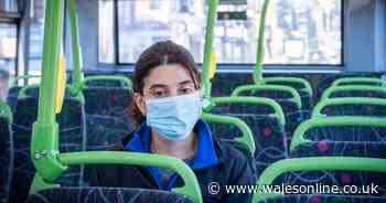 Leading scientist warns pandemic is 'definitely not all over'