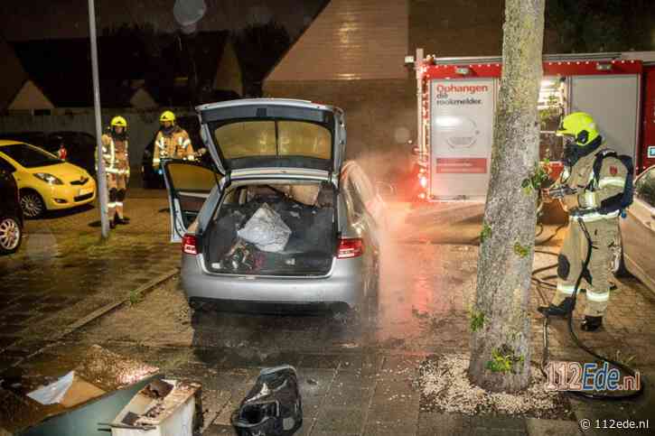 Hond Tancho blaft buurt wakker bij autobrand in Ede