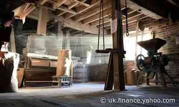 Back to the grind: historic mills boosted by flour shortage during Covid-19 lockdown