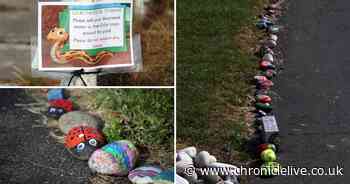 Meet Colin the Covid-19 snake who is bringing happiness to a community