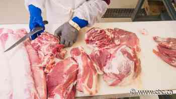 End to slaughterhouses would benefit workers, consumers — but it's unlikely even COVID-19 will force change