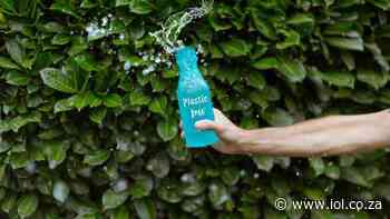 South African entrepreneur builds green company from the ground up - IOL