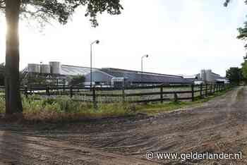 Sint Anthonis, de verborgen nertsenhoofdstad van Nederland?