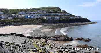 The area of Wales that missed coronavirus - and the simple system it set up - Wales Online