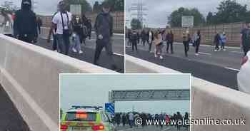 Black Lives Matter protesters close motorway by walking in road