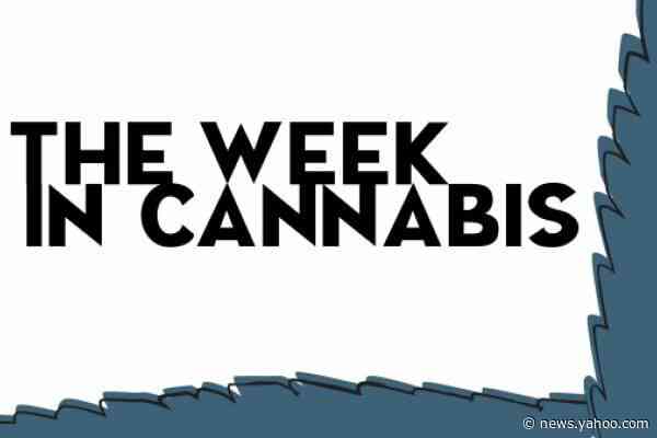 The Week In Cannabis: Stocks Surge Despite Civil Unrest, And 15+ Other Stories