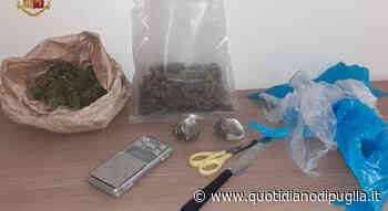 Vede i poliziotti e getta via l'“erba”: arrestato - Quotidiano di Puglia