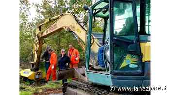 Torrenti in sicurezza Via l’erba sugli argini - LA NAZIONE