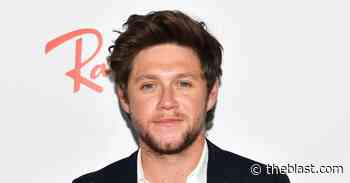 Niall Horan Reveals That Zayn Malik Doesn't Speak to Other One Direction Bandmates - The Blast