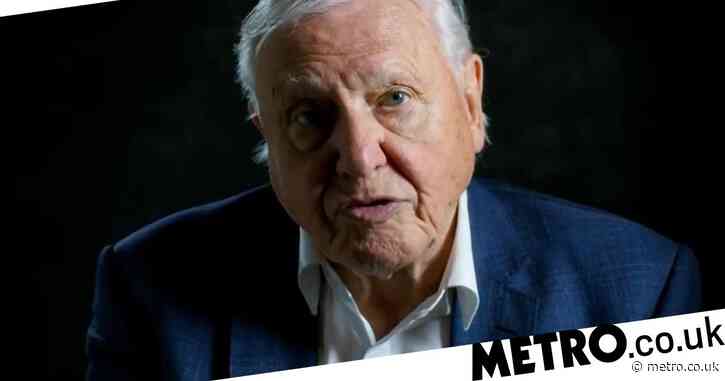 Sir David Attenborough to teach kids about dinosaurs and fossils with Liam Payne and Jodie Whittaker