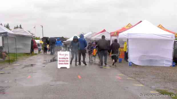 Scaled back Bearspaw Lions Club Farmer's Market returns