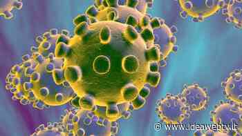 Coronavirus, calano ancora i positivi a Saluzzo mentre i guariti arrivano a quota 38 - IdeaWebTv