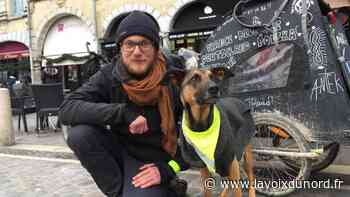 Arras : dernier voyage pour Jack, le chien vadrouilleur qui avait rallié la Pologne à vélo - La Voix du Nord