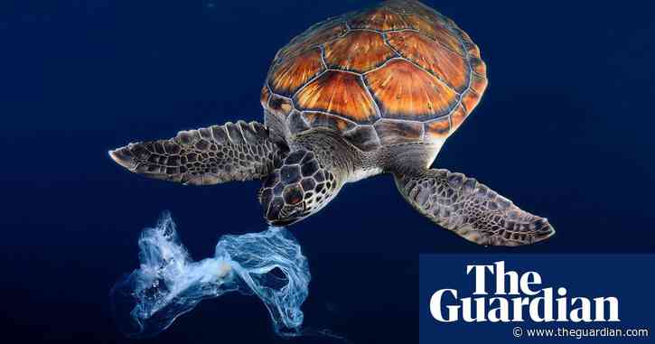 World Oceans Day: what are you doing to protect your ocean?