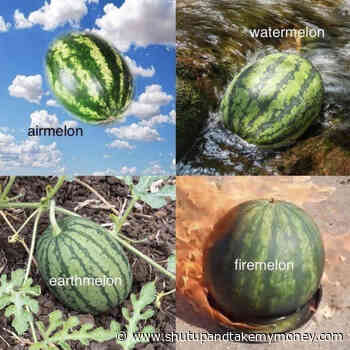Airmelon Watermelon Earthmelon Firemelon – The Elemelons Meme