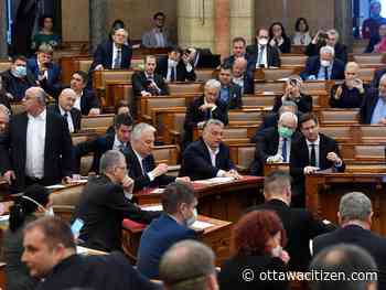 Tardi: Coronavirus should not infect democracy. Let's boost our governance 'immune' system