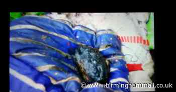 Grenade pulled from canal near 'Peaky Blinders' pub