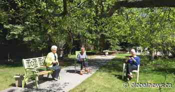 ‘From here to the box’: Seniors voice terrifying concerns on long-term care amid COVID-19