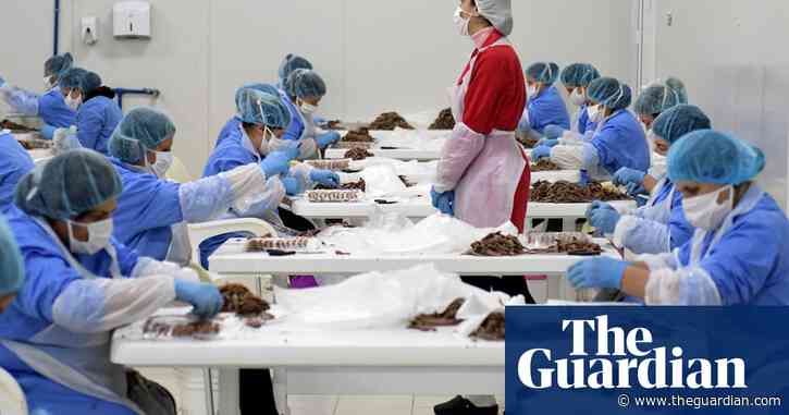 Small boats and female workers hardest hit by Covid-19 fisheries impact