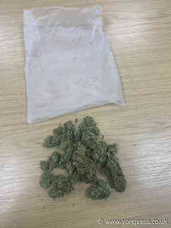 York drug dealer had cannabis in a pizza delivery bag