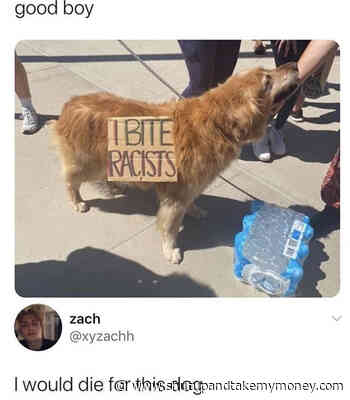I Bite Racists Dog – Funny Black Lives Matter Protest Signs