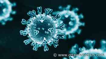 Ottawa COVID-19 update: Three deaths, six new cases - OttawaMatters.com