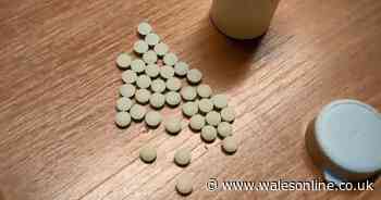 Cannabis, steroids and other substances found at homes in Llanelli