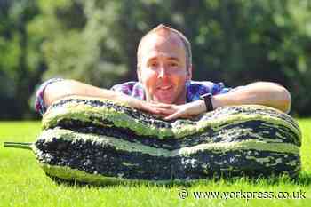 Harrogate Autumn Flower Show cancelled due to coronavirus