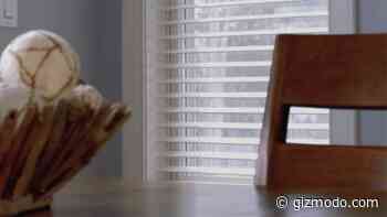Lutron's Smart Blinds Automatically Open and Close All Day Long To Stop Direct Sunlight From Baking Your Home