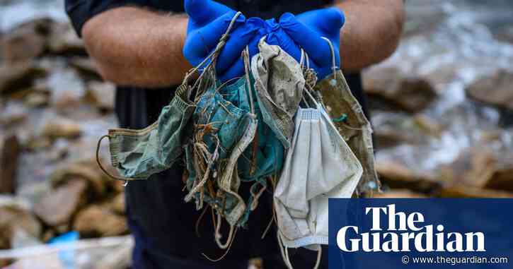 'More masks than jellyfish': coronavirus waste ends up in ocean