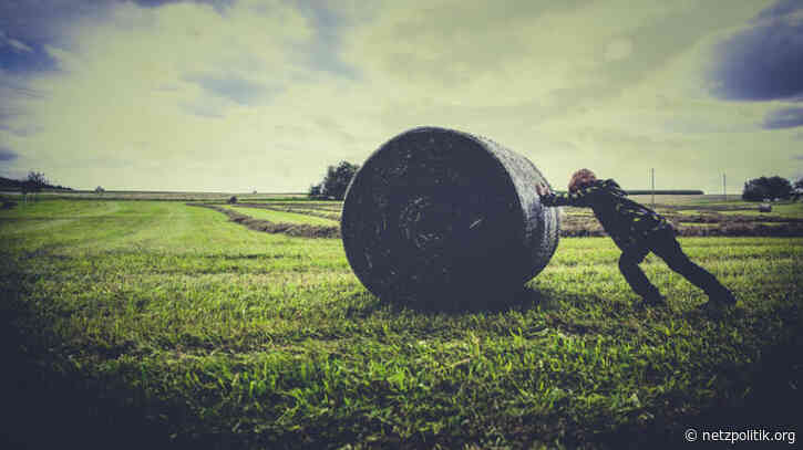 Akzeptanz der Corona-App: Corona-App-Befragung: Nutzer wollen Kontrolle und Freiwilligkeit