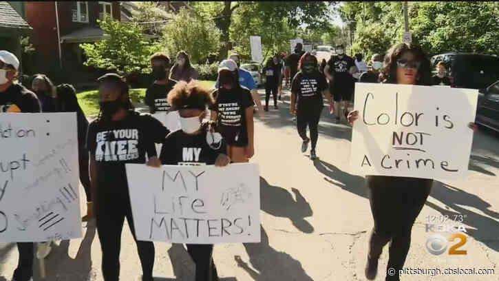 ‘Demanding Equality In Each School’: Pittsburgh Public Schools Leaders Hold Peaceful March And Protest